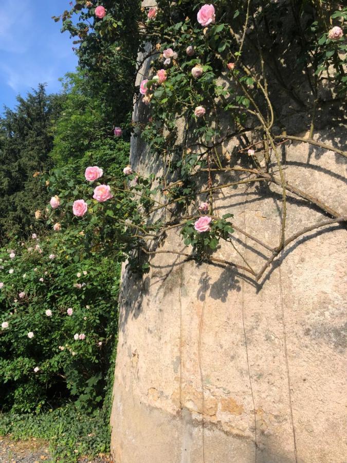Chateau De La Mothe Saint-Sulpice-en-Pareds Exteriér fotografie
